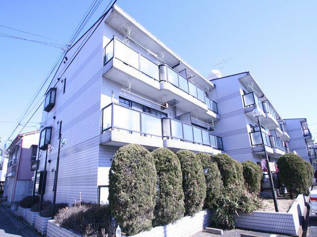 グリーンシャイン芝