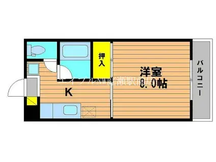 シャトレハイツ今村(1K/2階)の間取り写真