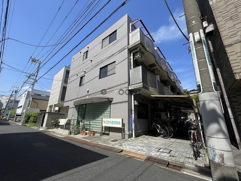 エルシオン弥生