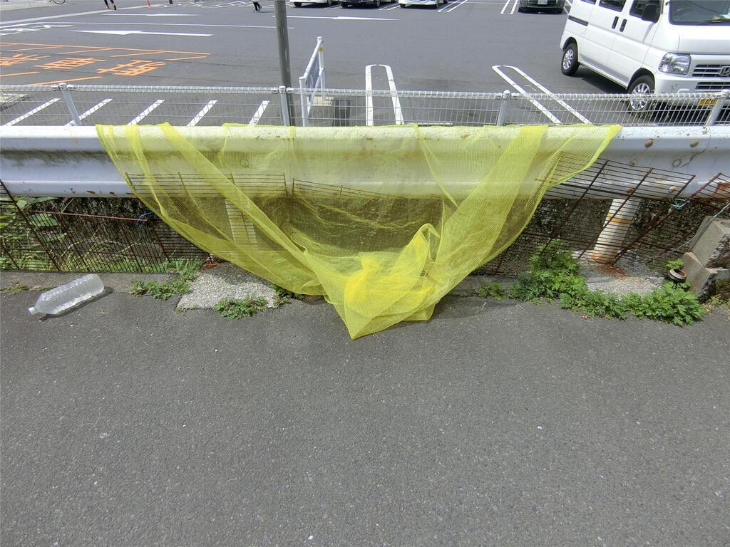 コートハウスコルディス