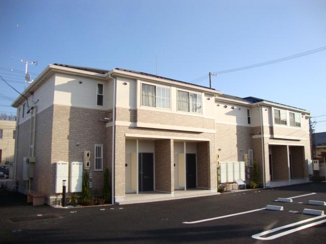 シトラス コート