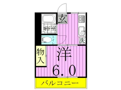 シティハイム新松戸(1K/1階)の間取り写真