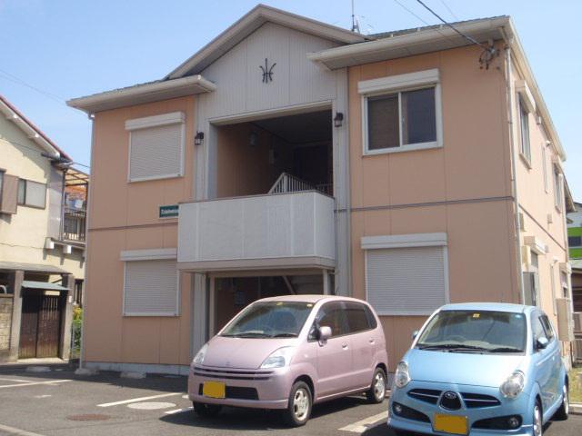 エーデルワイス