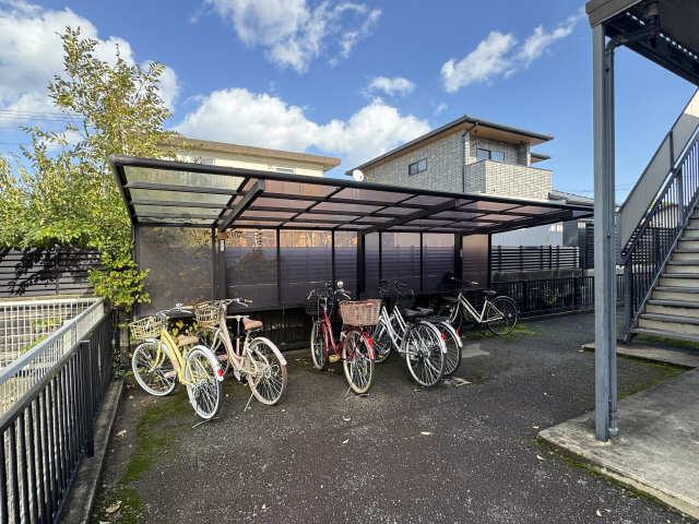 SUNNY FLAT