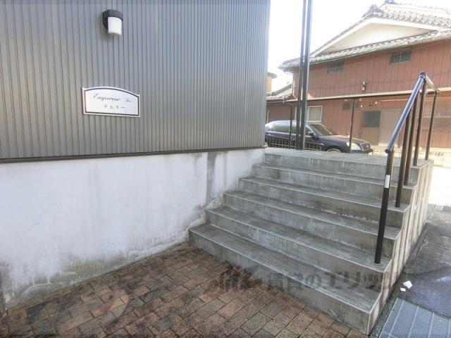 アンプルールチェリー
