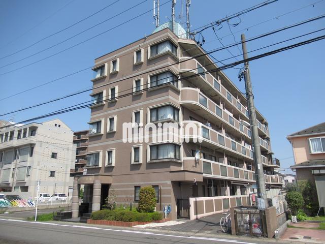 パセール精華