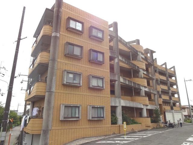 コーニッシュ豊中