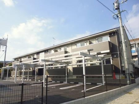 セイリン