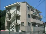 サンシャインM