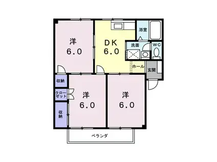 シティハイツ沖(3DK/1階)の間取り写真