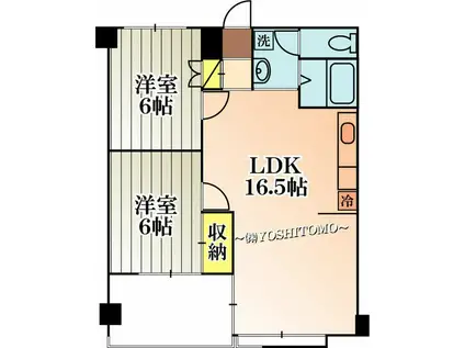 エバーグレース543(2LDK/1階)の間取り写真