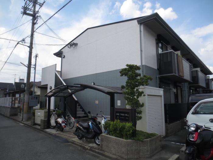 ワンツリーヒル
