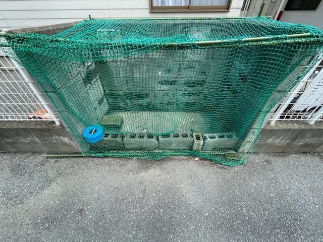 メゾンドネージュA