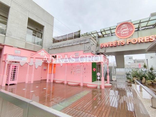 ノア自由が丘(ワンルーム/2階)の周辺写真