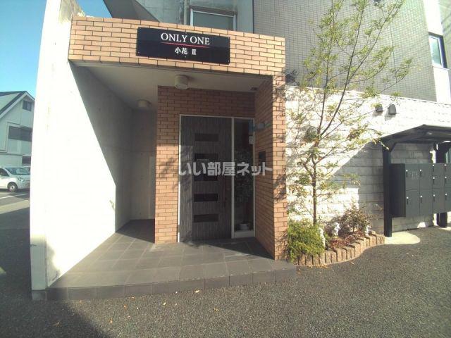 ONLY ONE小花II