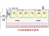 グレース芽吹