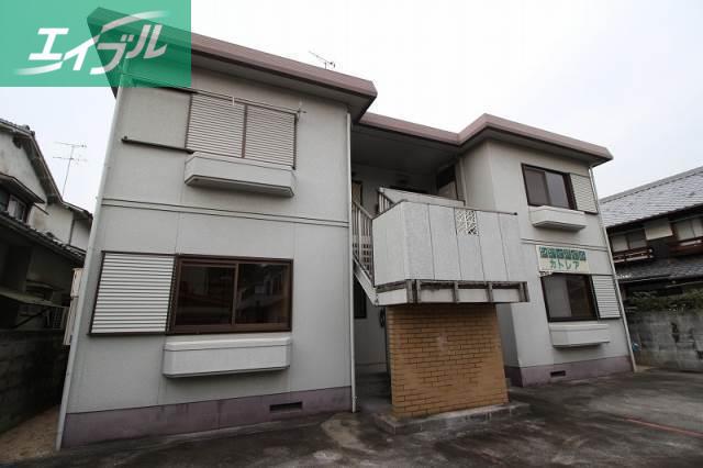 シティハイムカトレア