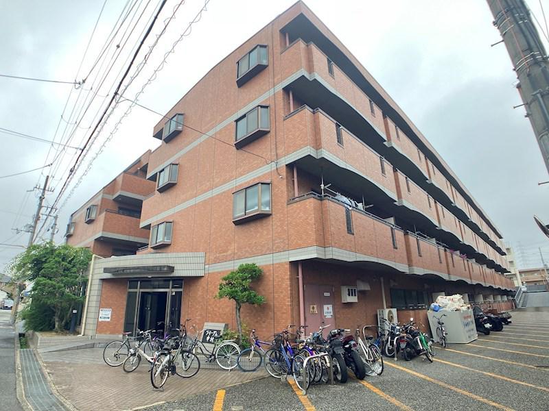 フリーダム中村
