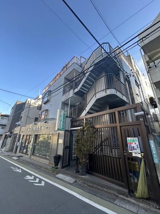 シーダーズフォレスト