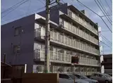 白樺マンション