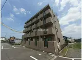 ピディエス ベルエーリー