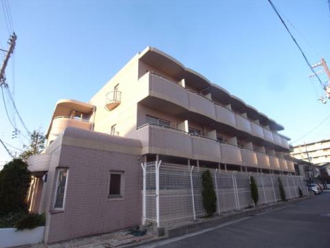パイン ライト
