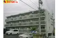 フローレスチェリー