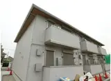 パームツリー 