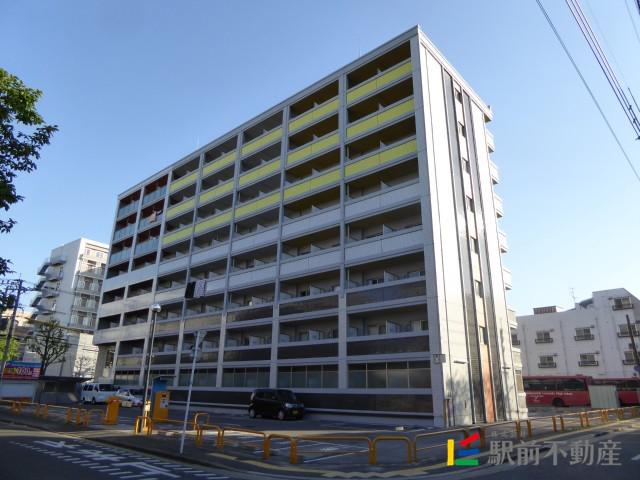 ORIENT BLD NO.81 AMARIGE アマリージュ