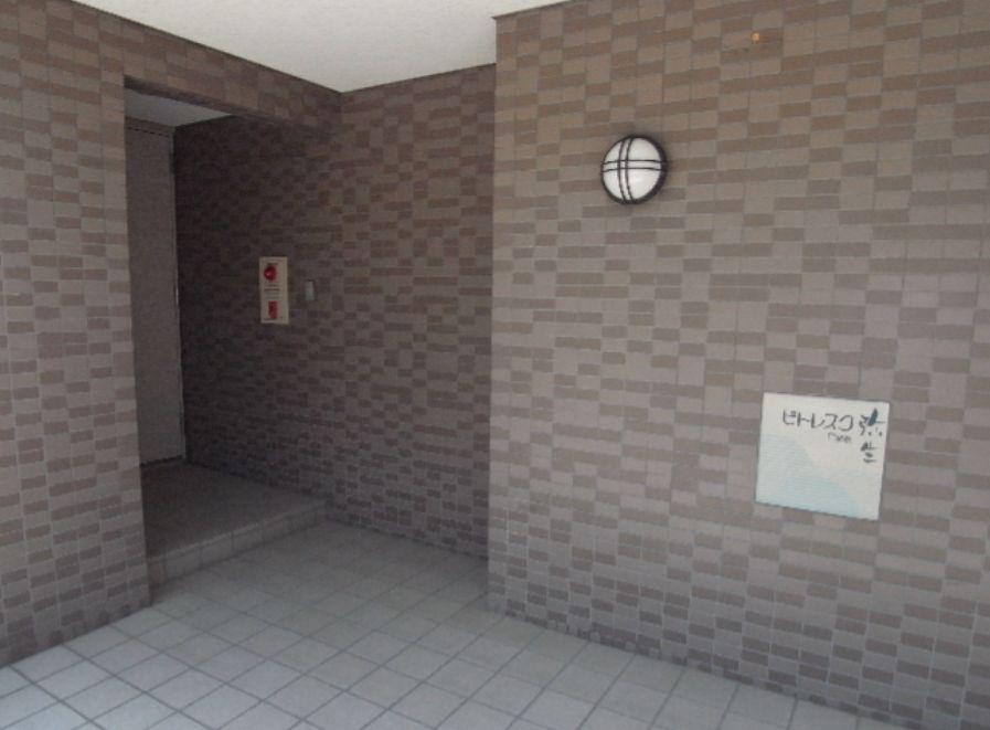 ピトレスク弥生