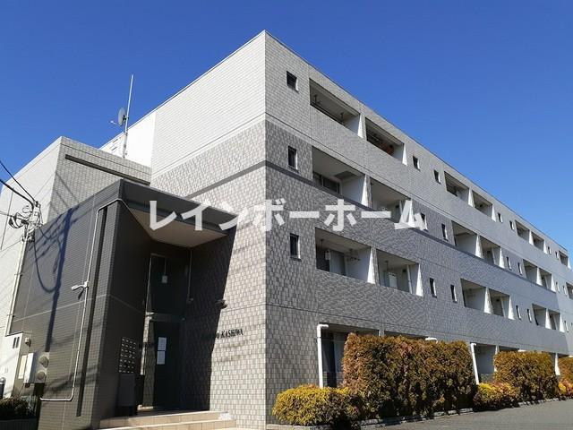 フローリド カシワ
