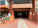 ライオンズマンション中央