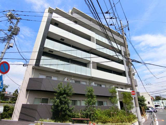 ホワイル椿