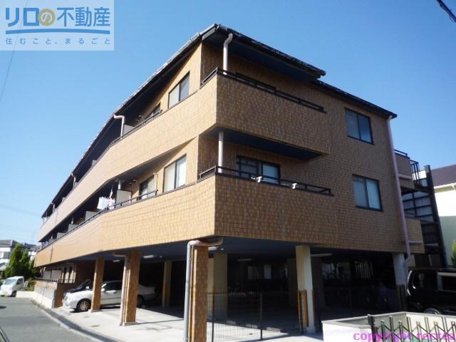 マーサ南野