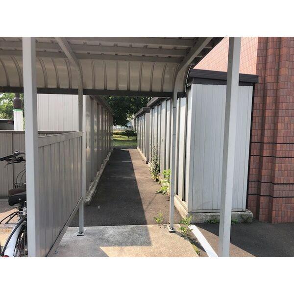 ミラドール琴