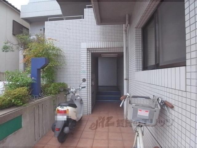 フォルム桂