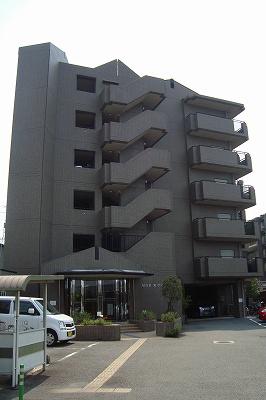 MNS天ヶ池