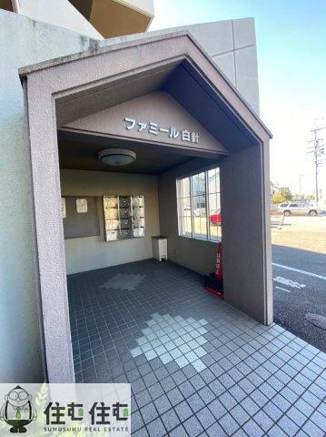 ファミール白針