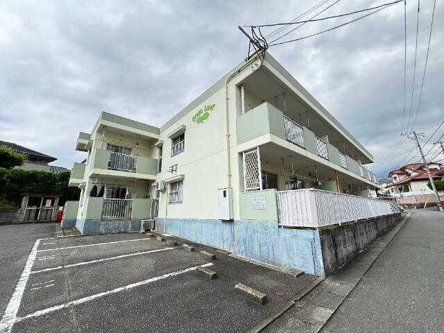 グリーンリーフ