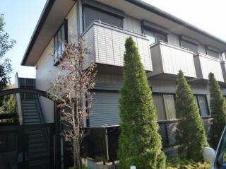 SHIINO MANSIONII