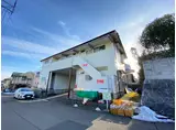カーサM V