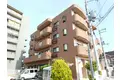 トリニティーグレース