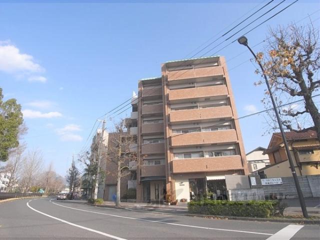 ルピナス紫明