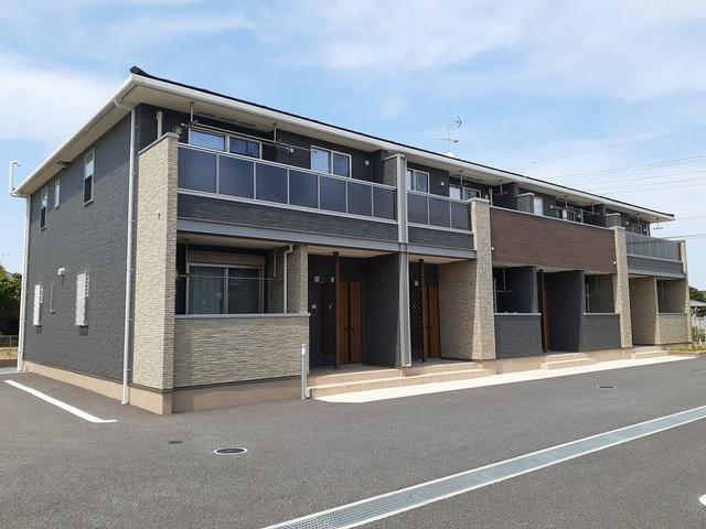 プラシードD