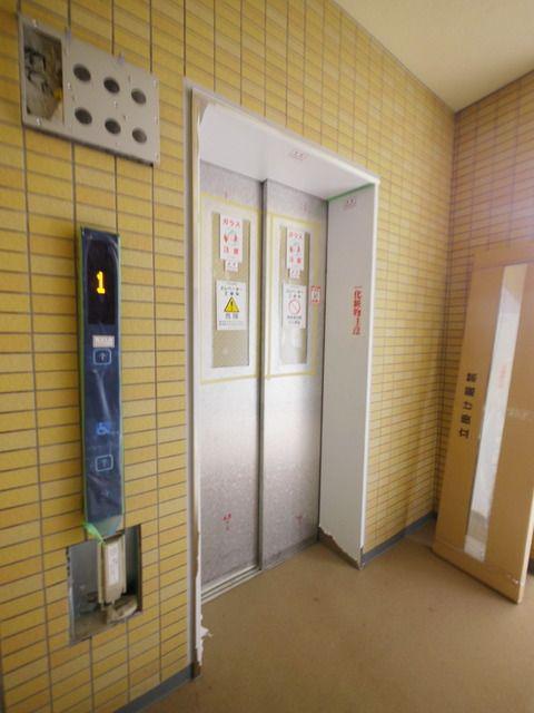 プルメリア