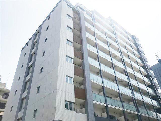 フレンシア菊川
