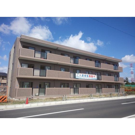 プリムラ