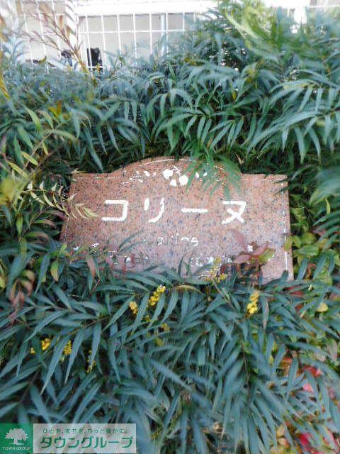 コリーヌ
