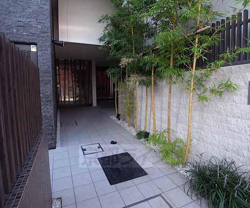 サンクチュアリ山科