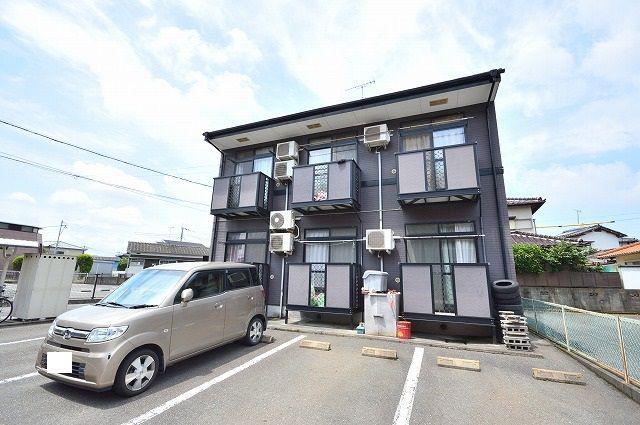 エクセル杉